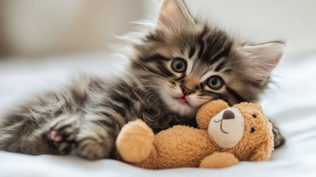 A fluffy kitten playing with a stuffed toy, cuddling it closely with a content expression.の素材