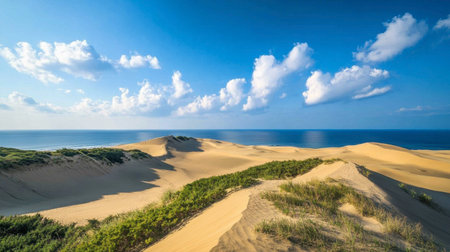 A scenic view of the Tottori Sand Dunes, stretching out to the horizon, with camel rides offered along the dunes.の素材