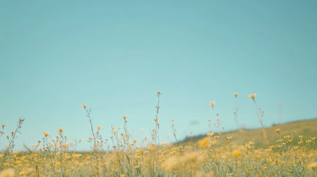 A wildflower field gently swaying in the breeze under a clear sky, evoking a sense of freedom and connection to nature.の素材