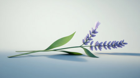 A serene lavender flower rests gracefully on a soft background, showcasing its delicate petals and vibrant colors. Perfect for nature lovers and decorators.の素材