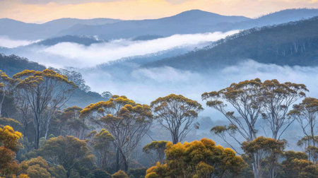 A serene landscape showcasing mist-covered mountains at dawn, surrounded by vibrant autumn trees and a calm atmosphere, perfect for nature lovers.の素材
