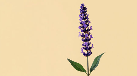 A stunning vertical arrangement of a vibrant purple flower against a soft, neutral background. Ideal for showcasing nature's beauty and elegance in design.の素材