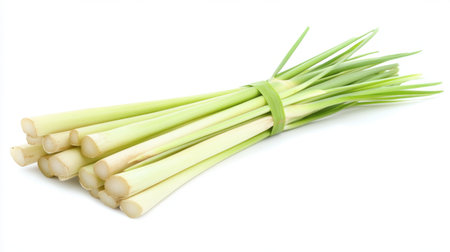 A vibrant bunch of fresh lemongrass stalks tied with green ribbon. Perfect for culinary dishes requiring a burst of flavor and aromatic freshness.の素材