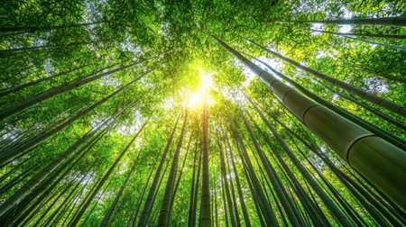 Experience the serene beauty of a bamboo forest, with sunlight piercing through the lush canopy. This vibrant green landscape showcases nature's tranquility and vitality.の素材