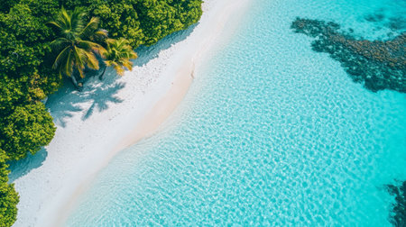 A Maldives coral reef, with colorful fish swimming through clear blue water near a sandy beach.の素材