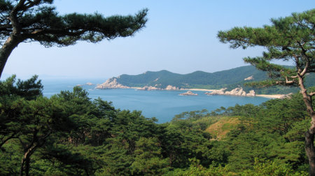 Discover a breathtaking coastal view featuring lush pine trees, rocky formations, and a tranquil sea beneath a bright blue sky, perfect for nature lovers and travel enthusiasts.の素材