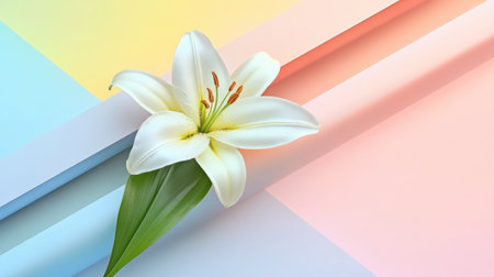 A stunning close-up of an elegant white lily set against a soft pastel background. The beautiful flower showcases delicate petals, enhancing any artistic or floral design project.の素材