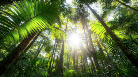 Explore a vibrant tropical jungle filled with lush greenery. Sunlight filters through the dense canopy, creating a serene and tranquil atmosphere in nature.の素材