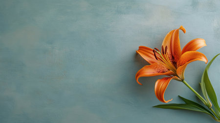 A stunning orange lily flower is elegantly displayed against a soft blue background, creating a serene and vibrant composition perfect for decoration.の素材