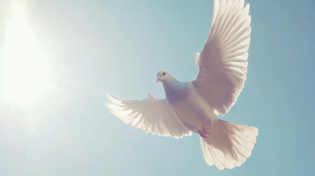 A beautiful white bird soars gracefully against a clear blue sky, illuminated by bright sunlight, symbolizing freedom and peace in nature's tranquility.の素材