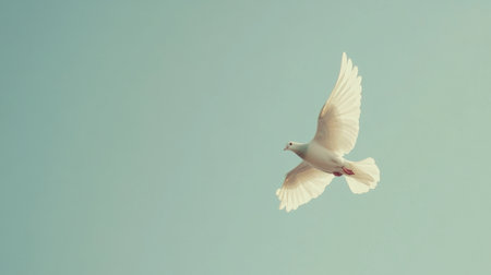 A graceful white bird soars through a calm and clear sky, capturing the essence of freedom and tranquility in nature. The image evokes a sense of peace and beauty.の素材