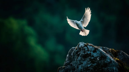 A stunning image of a majestic bird soaring gracefully in flight above a rocky outcrop. The soft green background enhances the serene beauty and elegance of nature.の素材