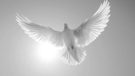 A captivating image of a white bird in flight, showcasing expansive wings against a bright light. The monochrome tones add an ethereal quality, symbolizing peace and freedom.の素材