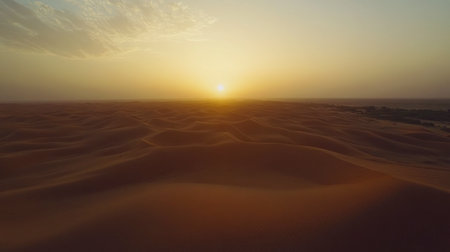 A breathtaking view of a golden sunset illuminating the tranquil desert landscape. The warm hues cast over the endless sand dunes create a serene atmosphere perfect for nature lovers.の素材