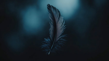 A striking black feather floats against a dark background, showcasing its delicate texture and elegant curves. Perfect for nature-themed projects.の素材