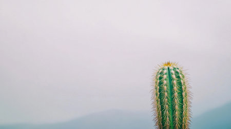 A vibrant green cactus stands alone against a soft, muted background, highlighting its unique structure and natural beauty. Ideal for nature themes.の素材
