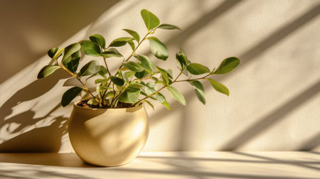 A beautiful indoor plant in a decorative pot bathed in warm sunlight, casting soft shadows. This serene setting adds a touch of nature to any home decor.の素材