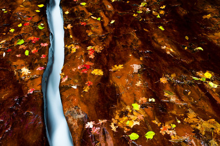 Small creek with fall-color leavesの写真素材