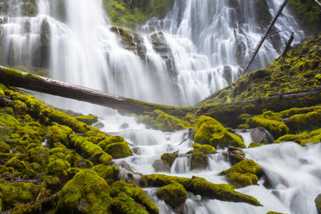 Proxy Falls in Oregonの写真素材