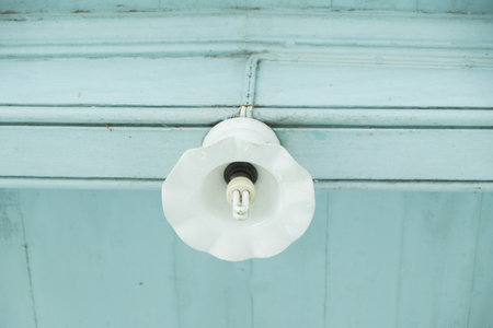 Vintage ceiling bulbs.の写真素材