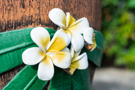 Yellow beautiful ceramic flower in garden for background.の写真素材