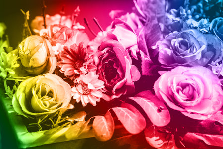 Close up bunch of beautiful flowers colorful background.の写真素材