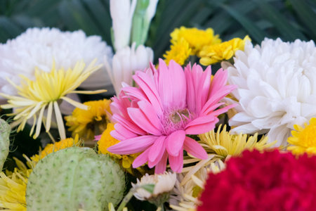 Close up colorful bunch of beautiful flowers.