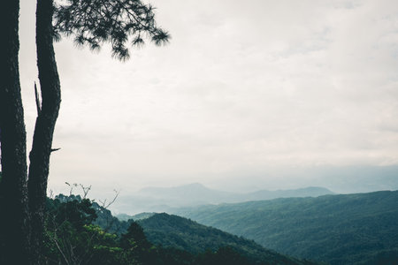 Mountains and tree under mist in the morning. Vintage or retro tone.の写真素材