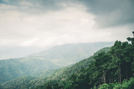 Mountains and tree under mist in the morning. Vintage or retro tone.の写真素材