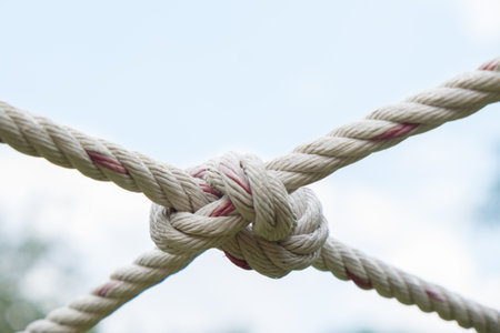 Close up Coil of rope with nature background.の写真素材