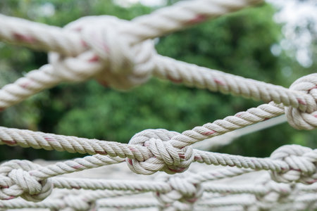 Many Coil of rope with nature background.の写真素材
