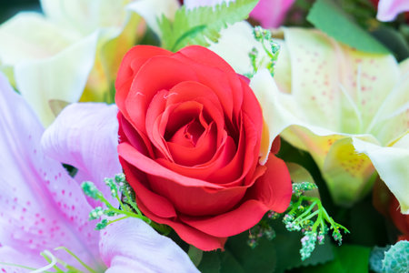 Close up red rose bunch of colorful beautiful flowers.の写真素材
