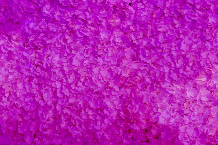 Beautiful pink leaf flowers for pattern  backgrounf/texture.の写真素材