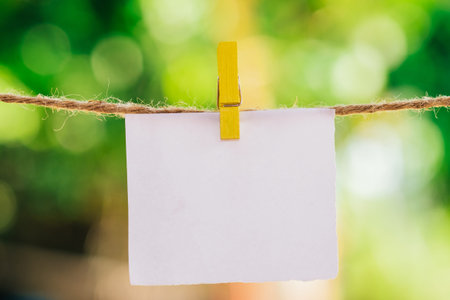 Blank white paper and clippaper  hanging on the clothesline with bokeh nature background.Designer concept.の写真素材