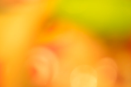 Gold or Yellow defocused rays lights radial abstract background/texture.の写真素材