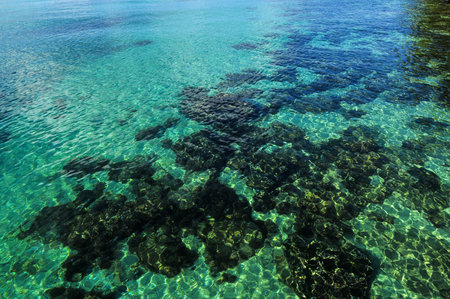 Blue Water
