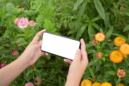 The young man's hand is holding a white screen phone, Mobile use phone concept.の写真素材