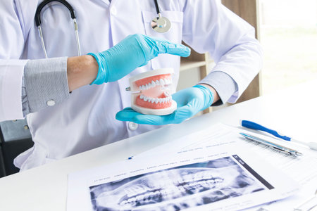 The dentist examining the teeth of the patient found that his teeth have improved.の写真素材