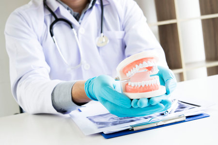 The dentist examining the teeth of the patient found that his teeth have improved.の写真素材