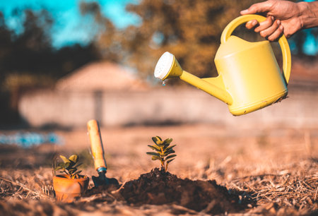 Male farmers are planting trees and watering plants to help increase oxygen in the air and reduce global warming, Save world save life and Plant a tree concept.の写真素材
