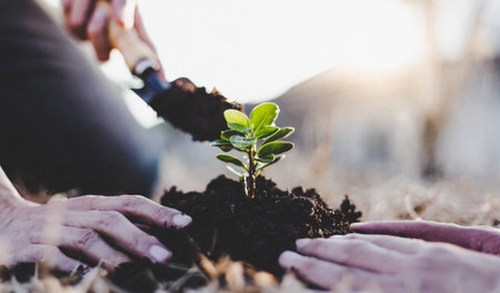 Two men are planting trees and watering them to help increase oxygen in the air and reduce global warming, Save world save life and Plant a tree concept.の写真素材