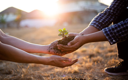Young seedlings are ready to grow in fertile soil, Agriculture gave the young men trees to prepare for planting and reduce global warming, Save world save life and Plant a tree concept.の写真素材