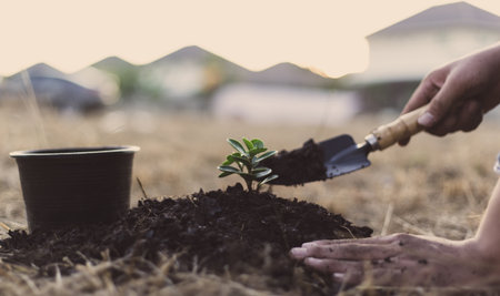 Male farmers are planting trees to help increase oxygen in the air and reduce global warming, Save world save life and Plant a tree concept.の写真素材