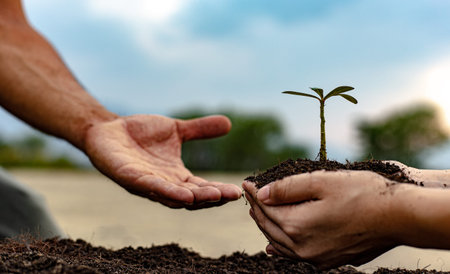 Young men give female seedlings to plant in fertile soil, ready to grow into a large tree in the future, Plants help increase oxygen in the air and soil, Save world save life concept.の写真素材