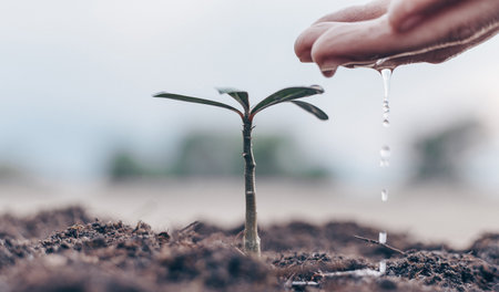 Women are planting trees and watering plants in fertile soil ready to grow into a large tree in the future, Plants help increase oxygen in the air and soil, Save world save life concept.の写真素材