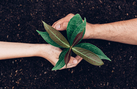 Young men and women are protecting seedlings and preparing to plant in the soil ready for growth,...