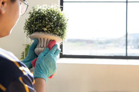 Young Asian male employee uses a towel moistened with alcohol to clean household accessories or decorative items, Prevention of accumulated pathogens, Plant pot,Virus outbreak situation.の写真素材