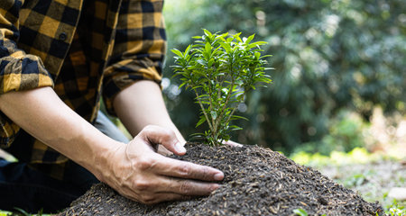 Young man transplanted small seedlings into mineral rich potting soil and prepared to water the...