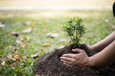 Young man transplanted small seedlings into mineral rich potting soil and prepared to water the plants, Plants help increase oxygen in the air and soil, Loving the Earth and Conserving the Environmentの写真素材