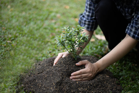 Young man transplanted small seedlings into mineral rich potting soil and prepared to water the plants, Plants help increase oxygen in the air and soil, Loving the Earth and Conserving the Environmentの写真素材